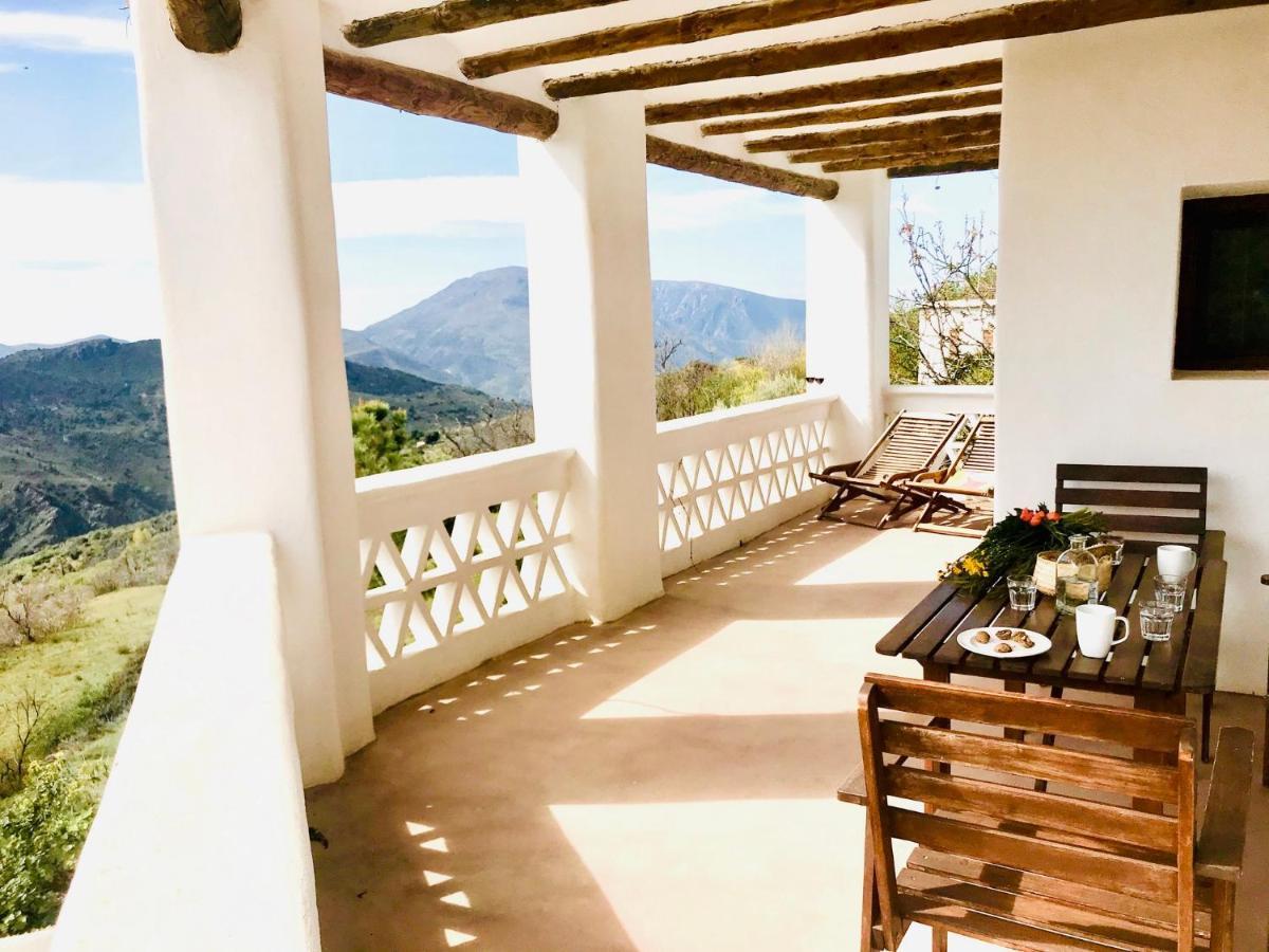 La Oveja De La Alpujarra